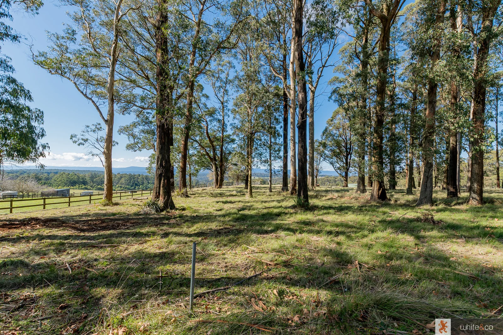 Additional image 4 of 22 Extons Road, Kinglake Central VIC 3757