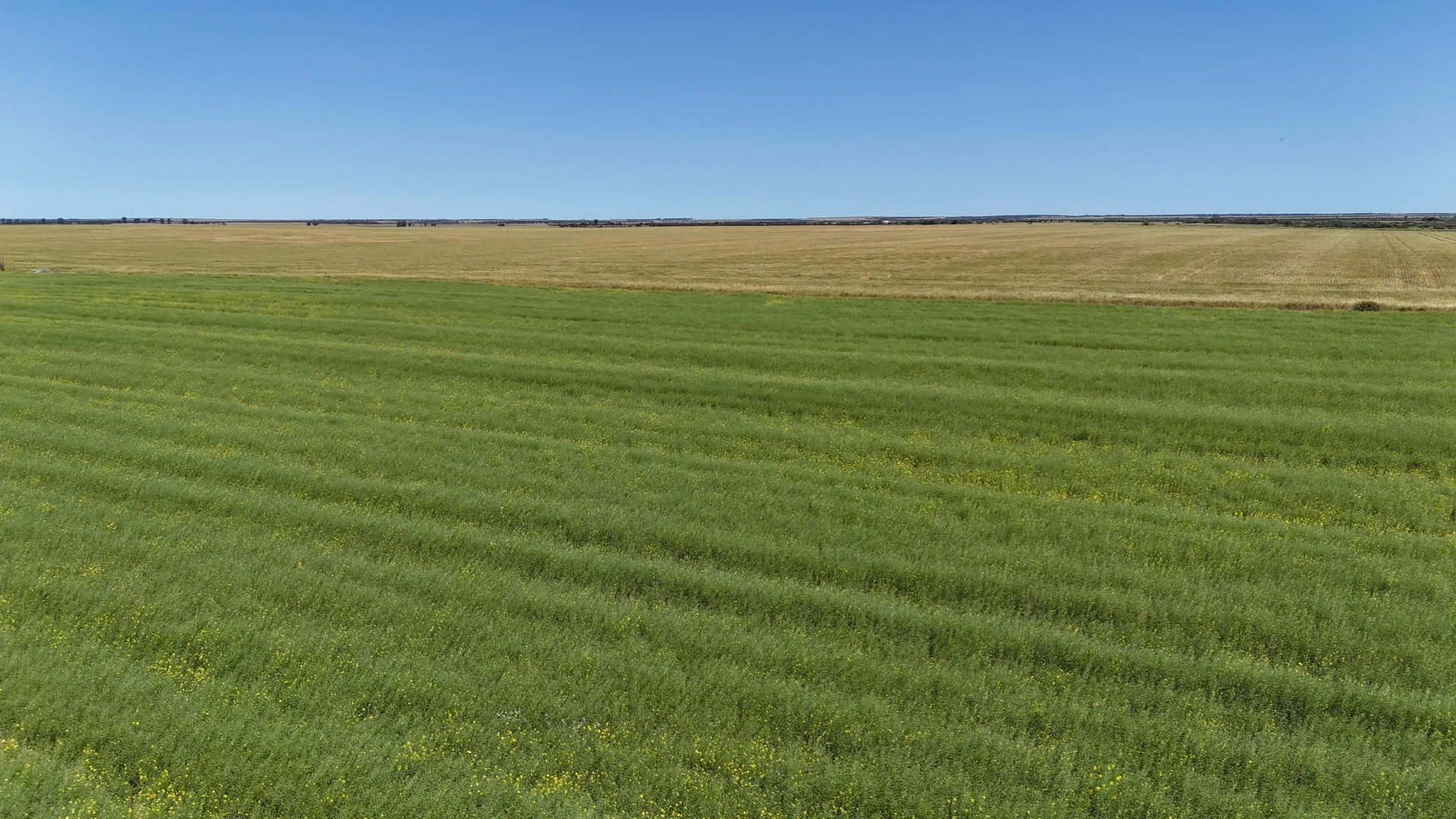 Additional image 5 of 2064 Binnu Road East, Ogilvie WA 6535