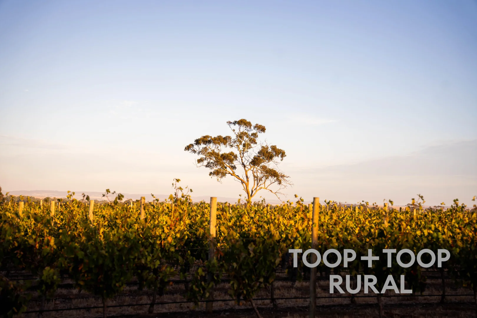 Additional image 19 of 1404 Research Road, Ebenezer SA 5355