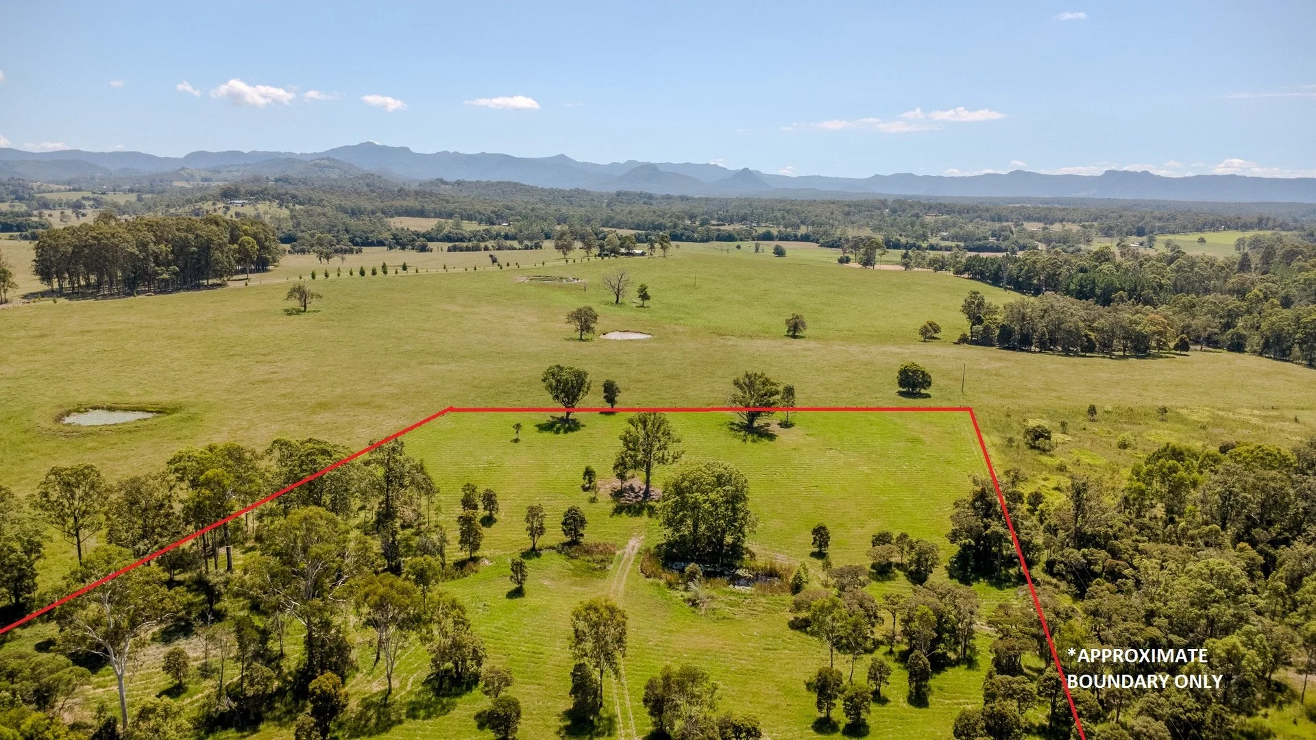 64 Mooral Creek Road, Cedar Party NSW 2429