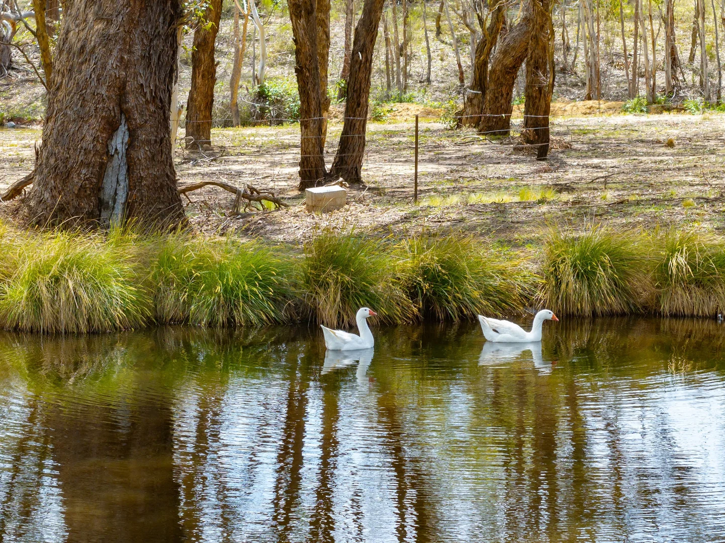 Additional image 35 of 544 Boxers Creek Road, Goulburn NSW 2580