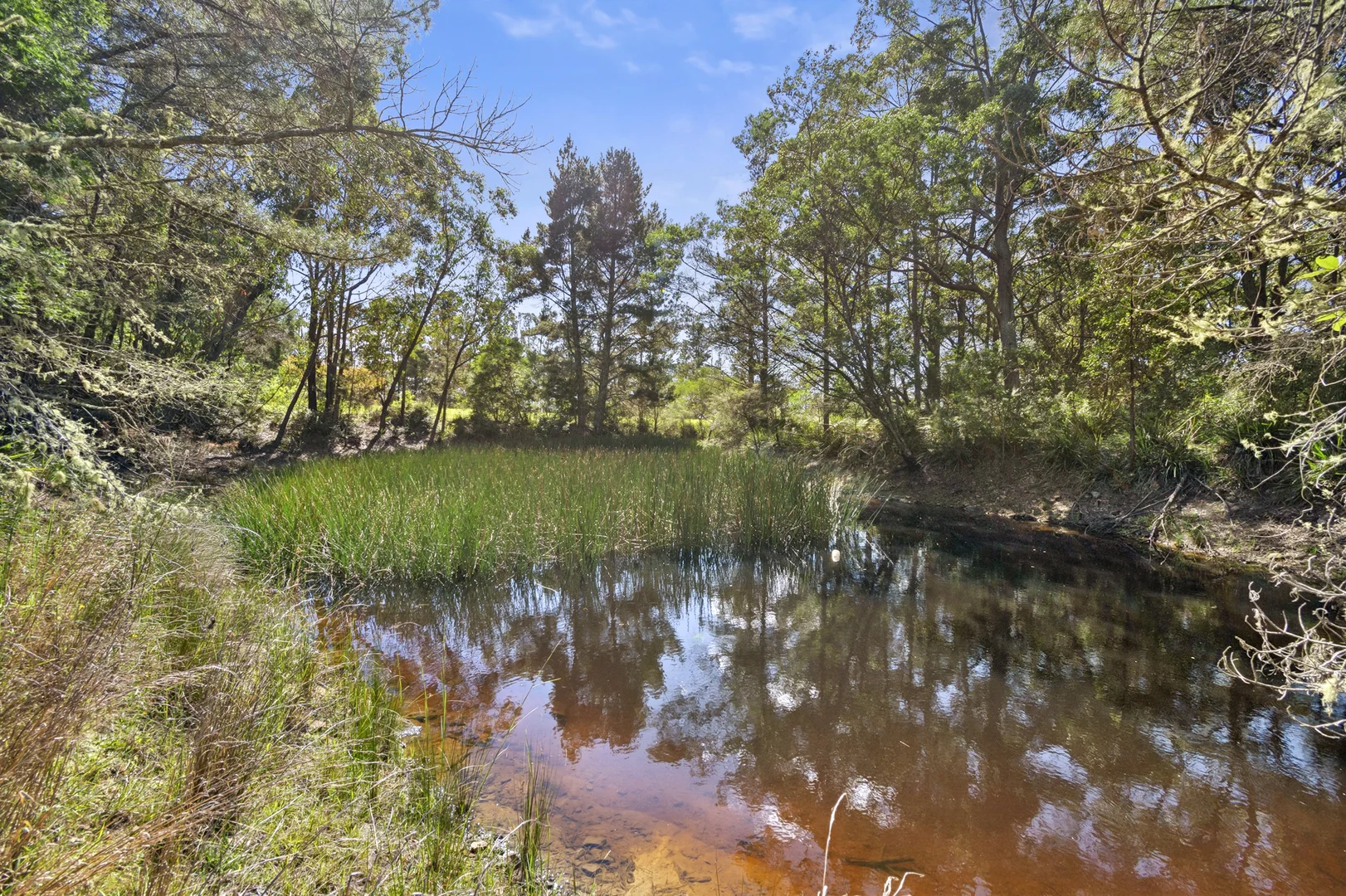 Additional image 24 of 174 Mountain Lagoon Road, Bilpin NSW 2758