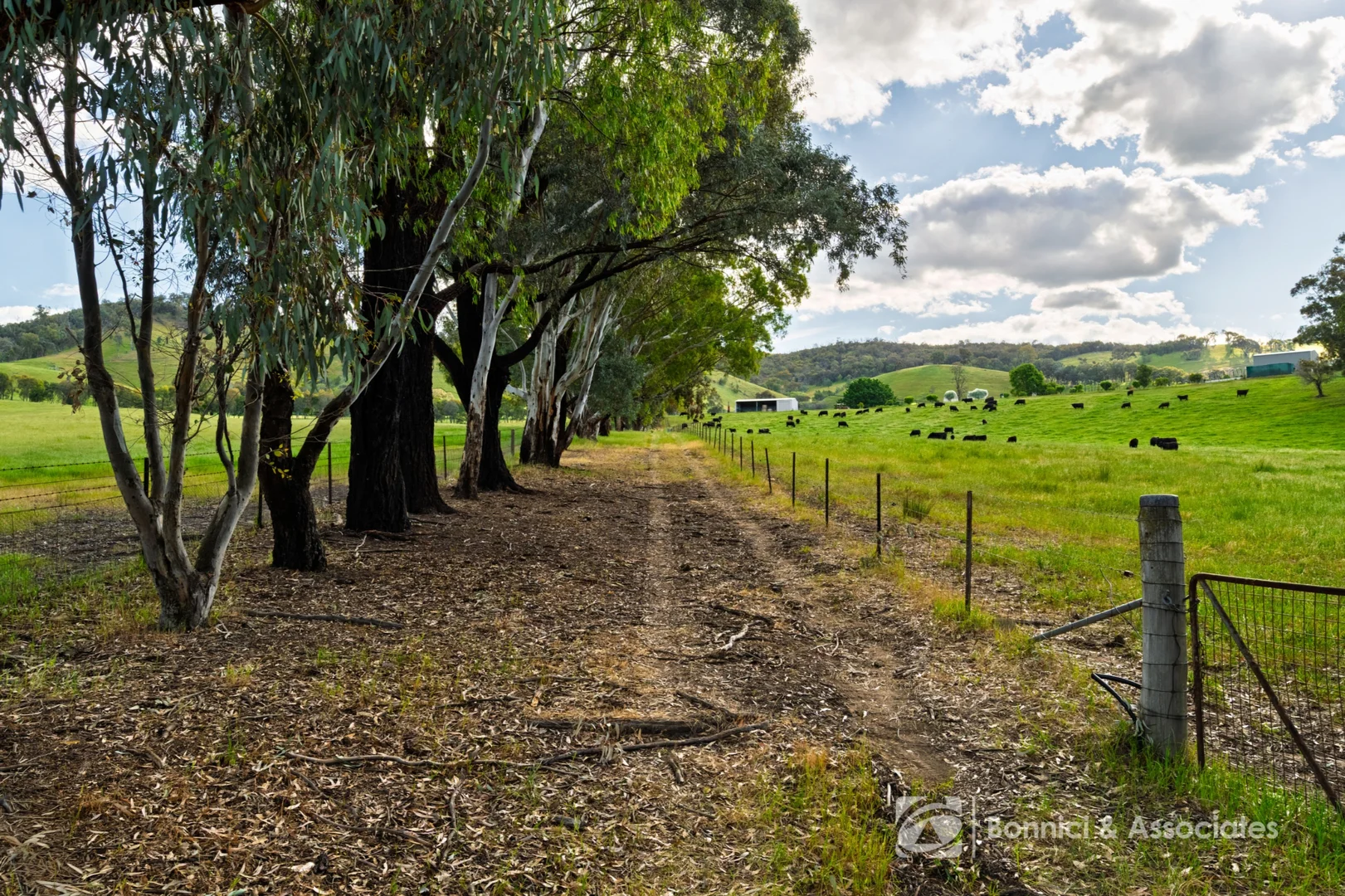Additional image 9 of Lot 2/PS917939 Indigo Creek Road, Indigo Valley VIC 3688