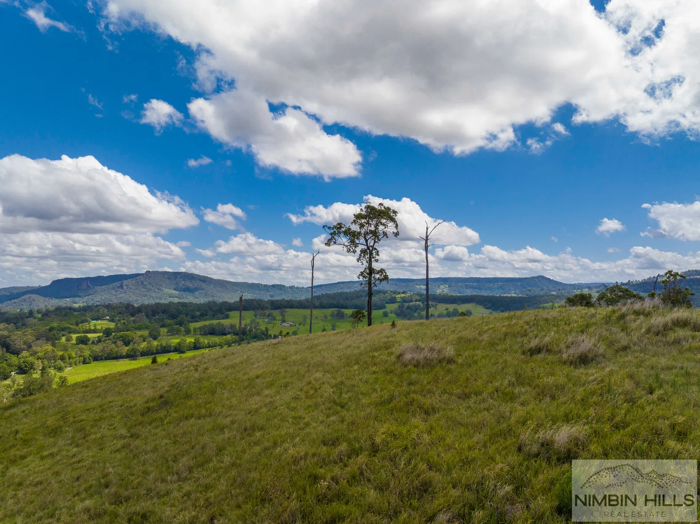 Additional image 36 of 19 Moffitt Road, Nimbin NSW 2480