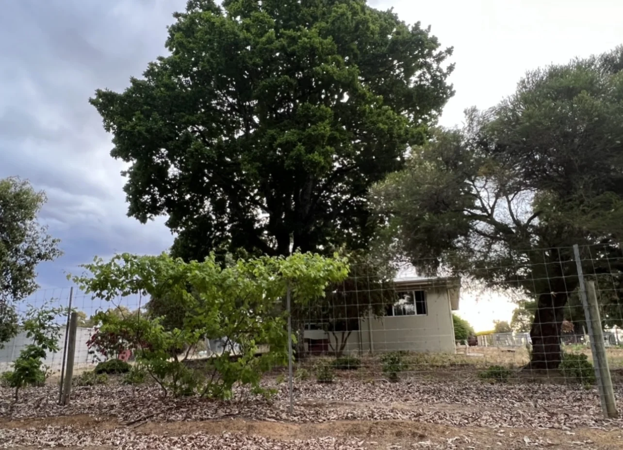 Additional image 13 of 20030 South Western Highway, Newlands WA 6251