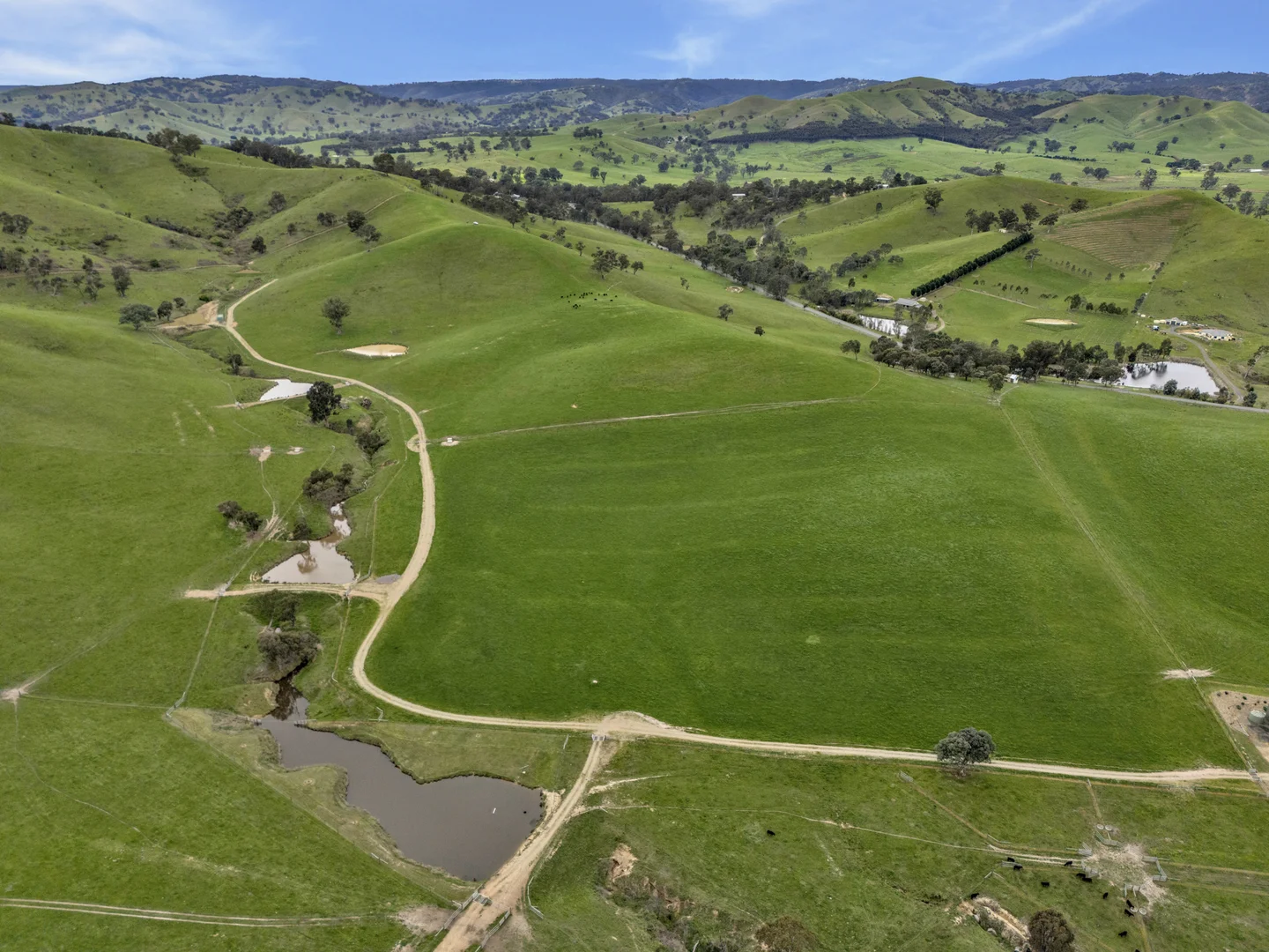 Additional image 21 of 146 Hobans Road, Alexandra VIC 3714