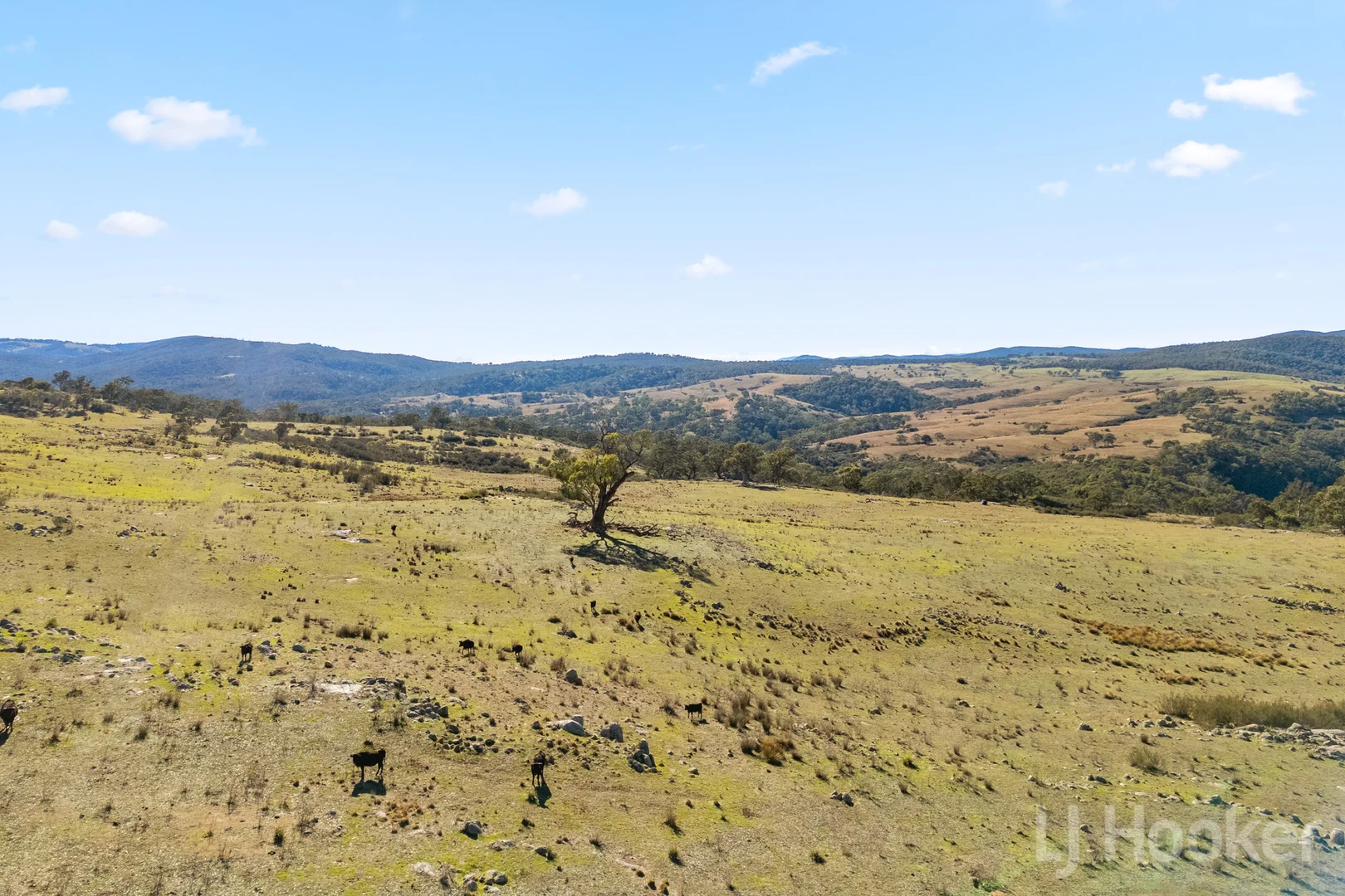 Additional image 16 of 877 Urila Road, Urila NSW 2620