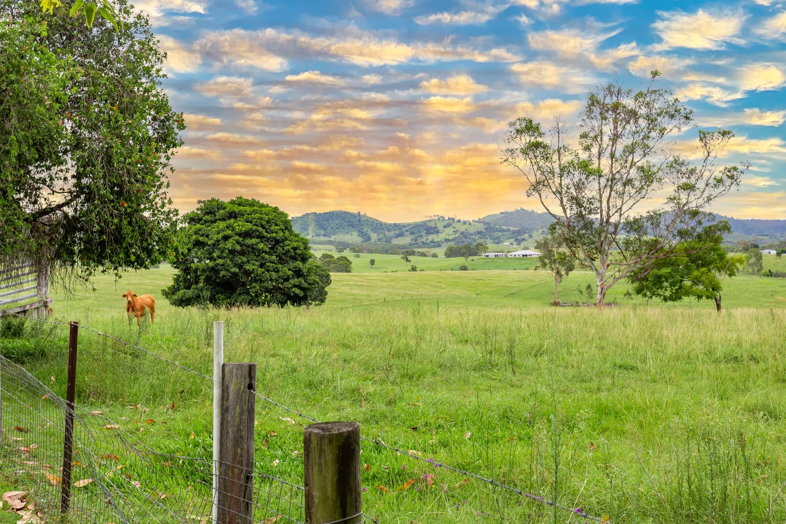 Additional image 5 of 1430 Glastonbury Road, Glastonbury QLD 4570