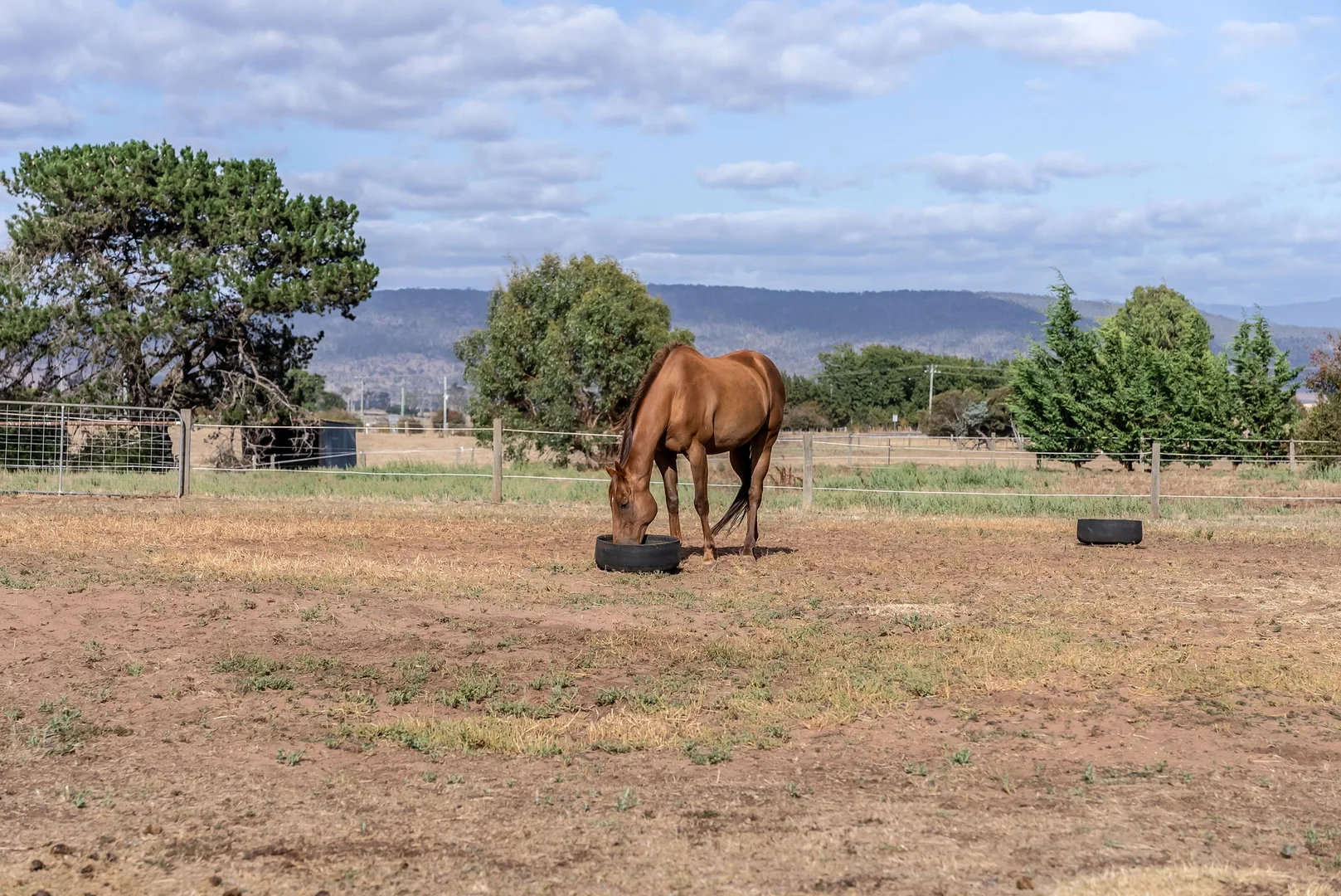Additional image 3 of 36A High Street, Campbell Town TAS 7210
