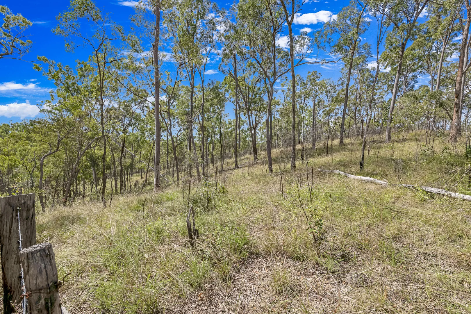 Additional image 5 of 151 Findlay Road, Duingal QLD 4671