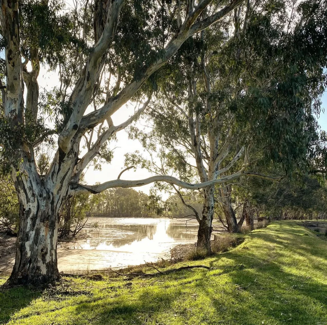 Additional image 3 of Lot/11 Casterton Apsley Road, Apsley VIC 3319