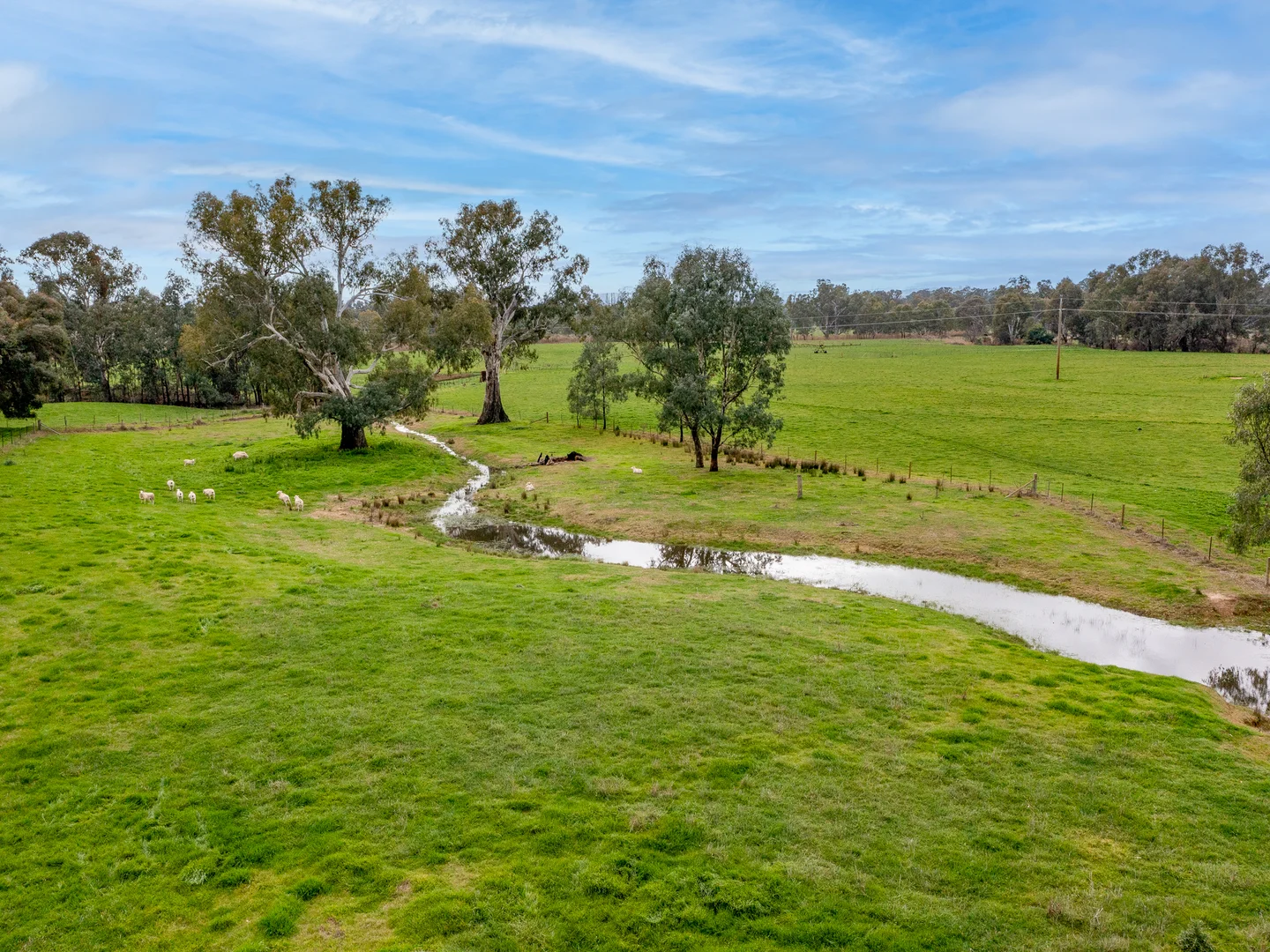 Additional image 31 of 2269 Snow Road, Markwood VIC 3678