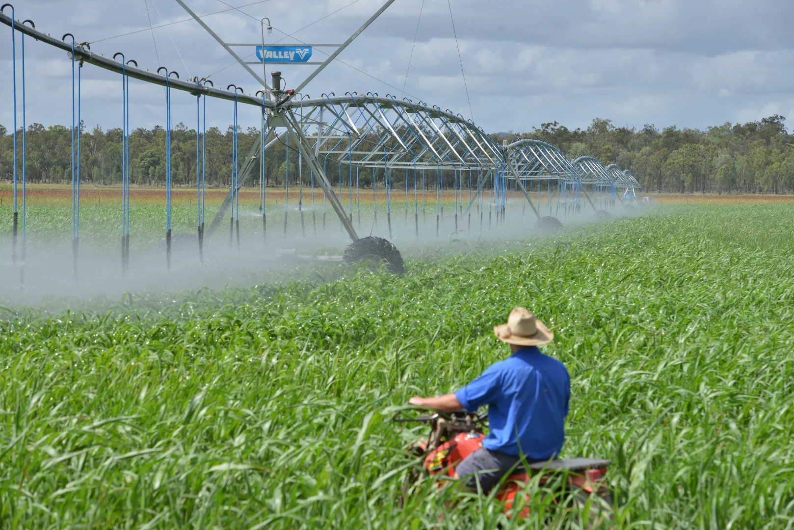 Additional image 2 of Gowrie Oakey Creek - Water Allocation, Boodua QLD 4401