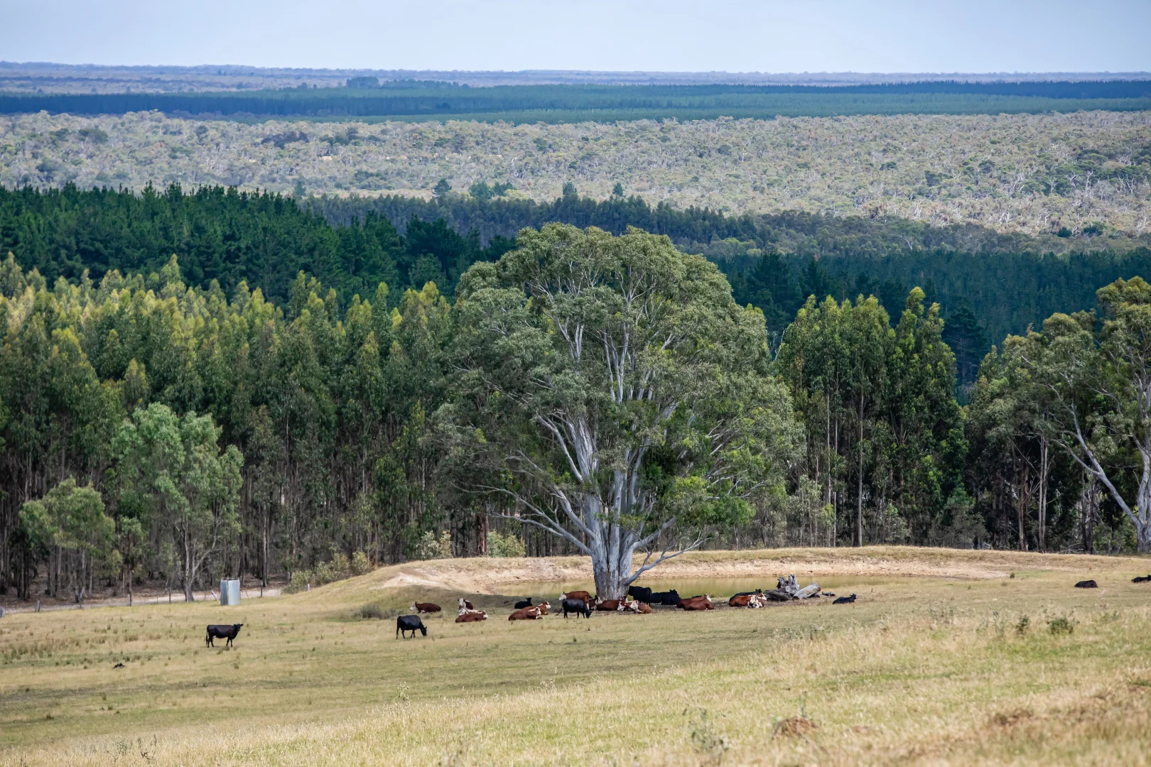 Additional image 29 of 93 The Bluff Road, Casterton VIC 3311