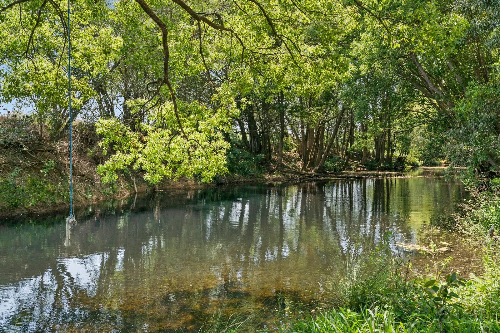 Additional image 12 of 981 Numinbah Road, Crystal Creek NSW 2484