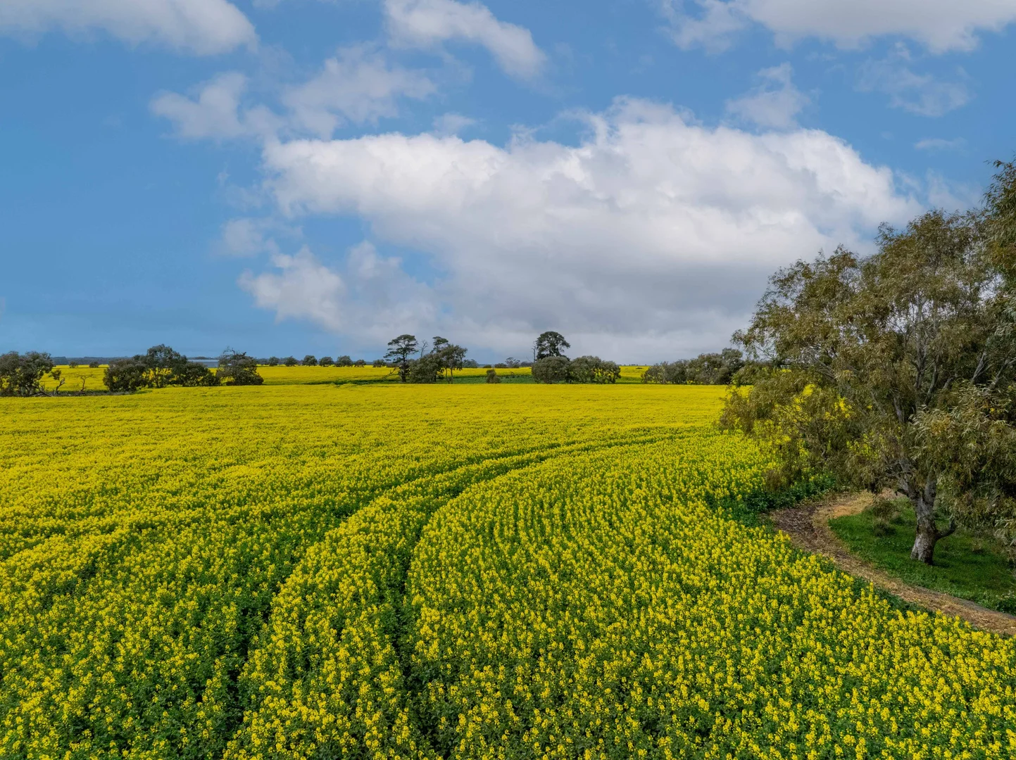 Additional image 23 of 400 Daly Road, Skipton VIC 3361