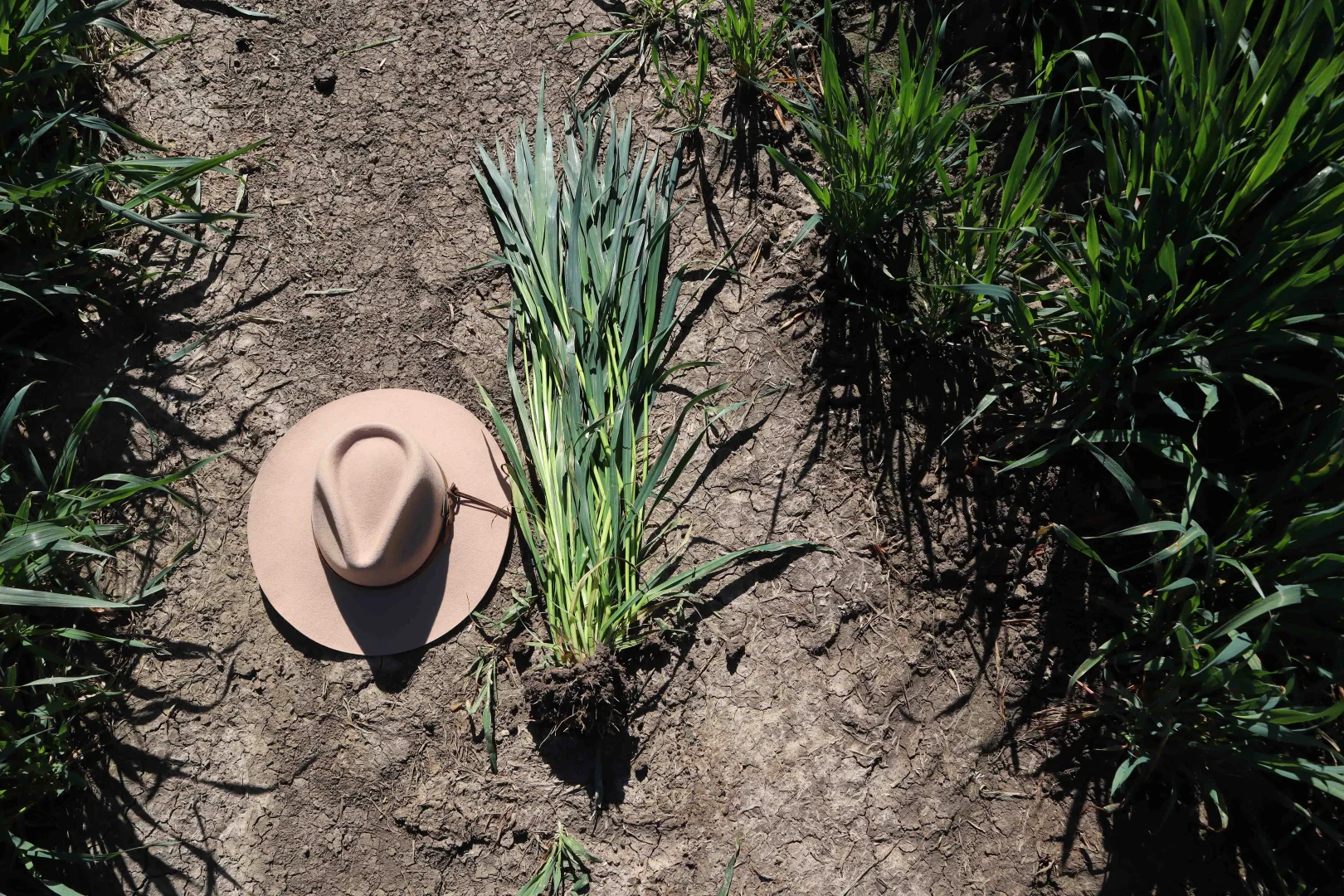 Additional image 18 of 427 Phillips Road, Myall VIC 3579