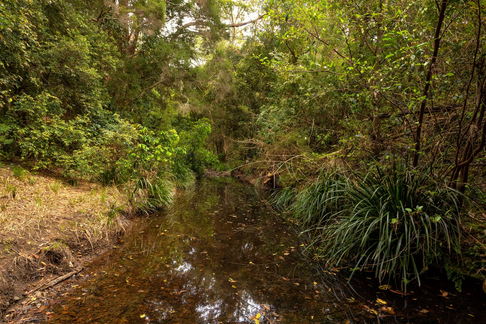 Additional image 14 of 180 Norries Road, Bunyah NSW 2429