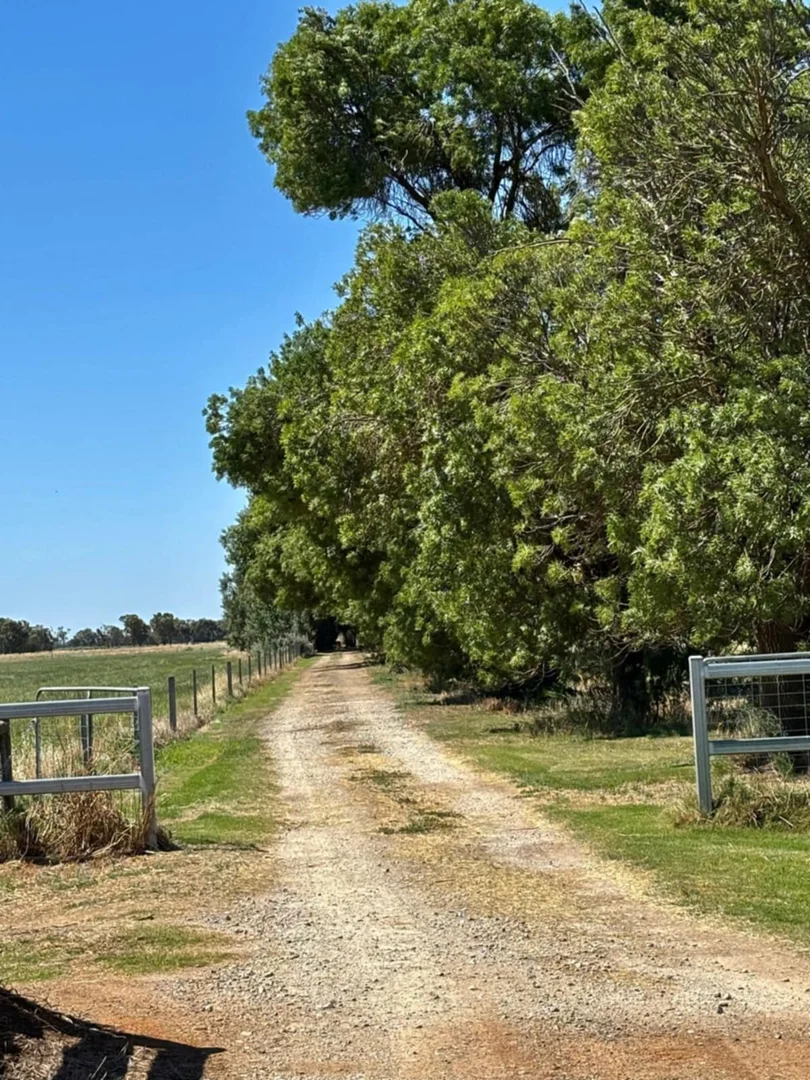 Additional image 41 of 674 Singer Road, Bamawm VIC 3561