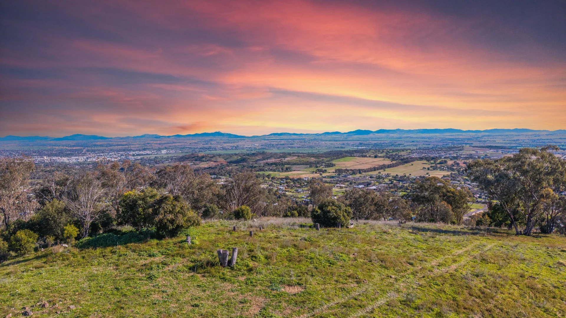 Additional image 8 of 7 Dianella Close, Moore Creek NSW 2340