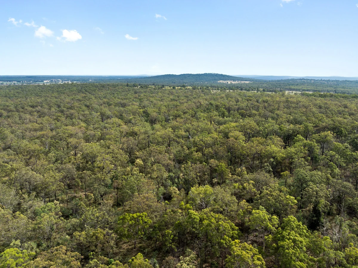 Additional image 6 of 1376 Leyburn-Cunningham Road, Leyburn QLD 4365