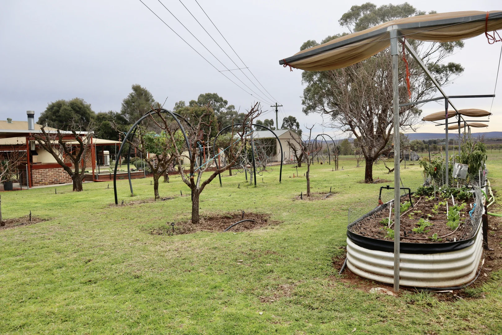 Additional image 31 of 114 Tabain Rd, Merungle Hill NSW 2705