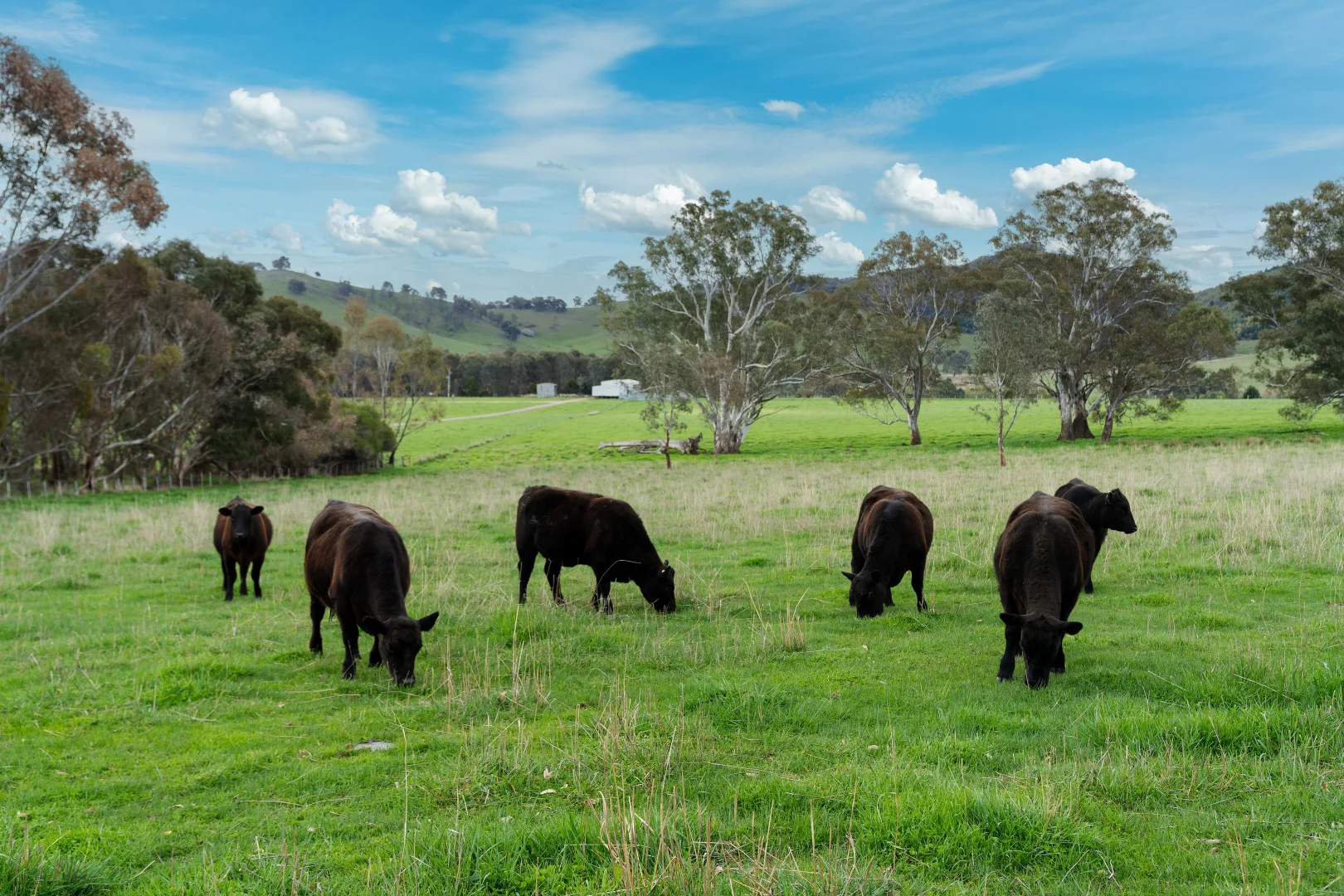 Additional image 32 of 71 Schoolhouse Road, Samaria VIC 3673