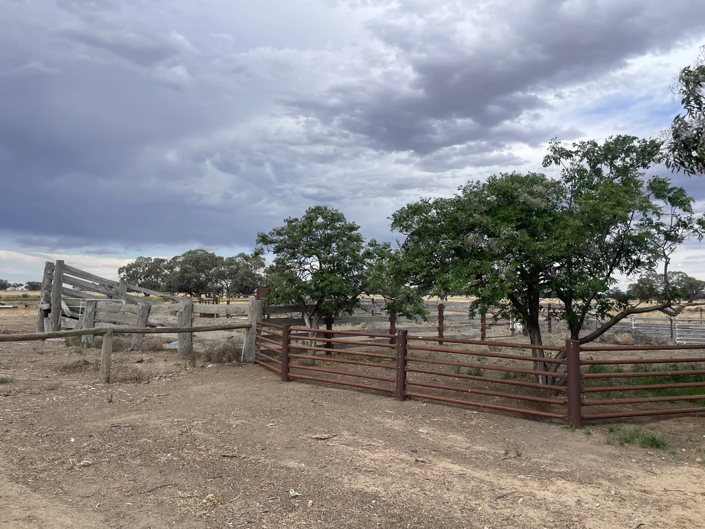 Additional image 16 of 'Kalawar' 1822 Pretty Pine Road, Morago NSW 2710