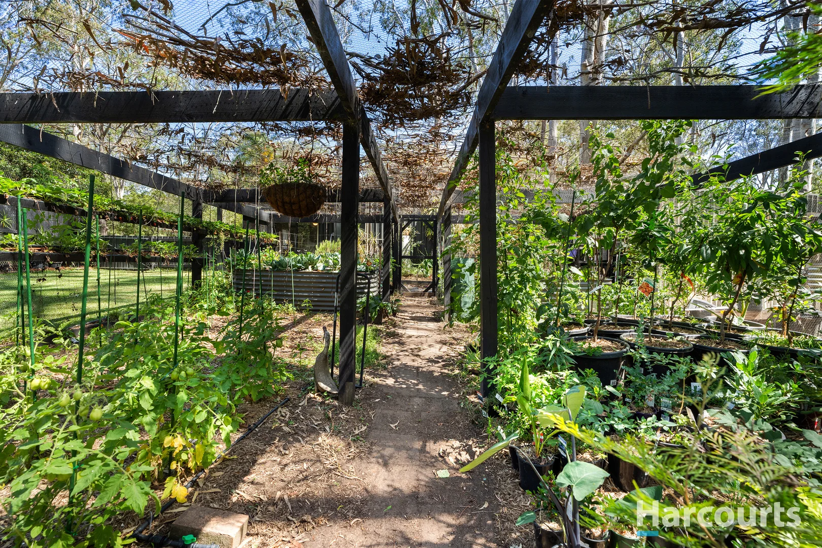 Additional image 36 of 20 Elouera Close, Brandy Hill NSW 2324