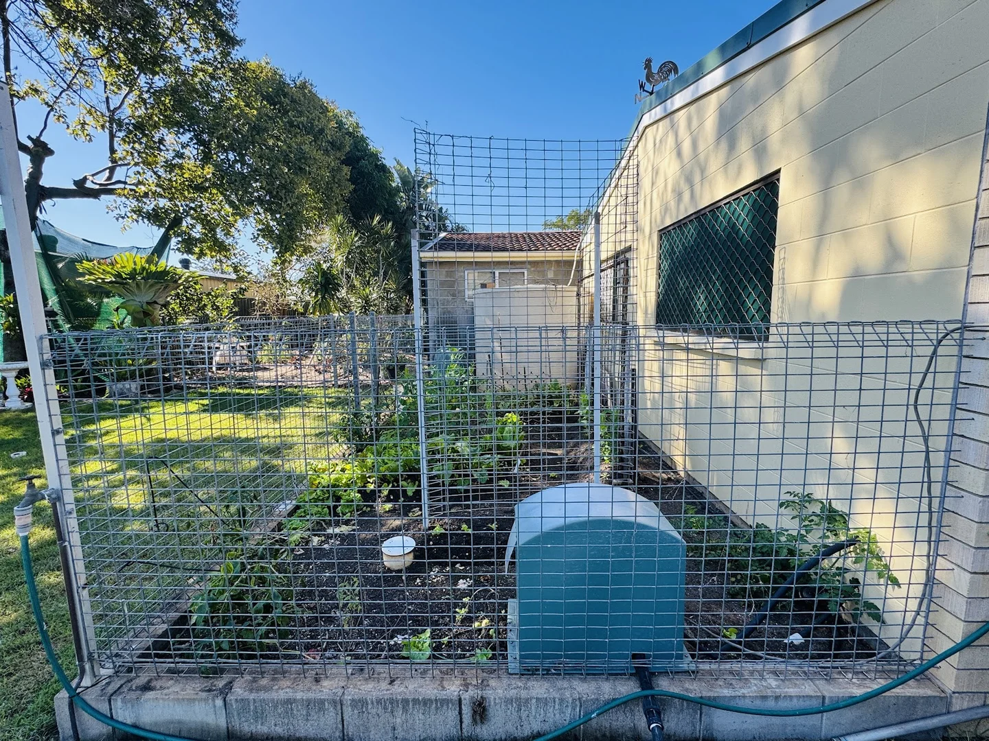 Additional image 30 of 6 Macadamia Court, Woodgate QLD 4660