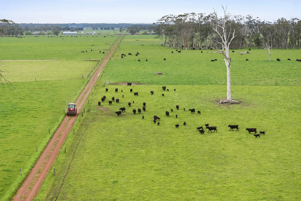 Additional image 8 of 101 Jancourt Forest Road, Carpendeit VIC 3260