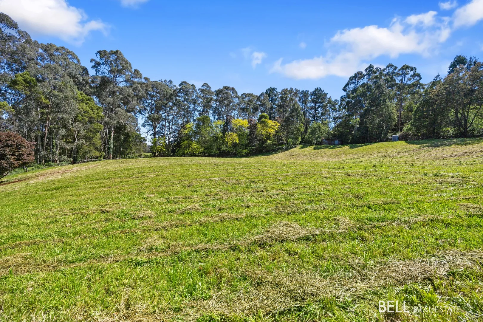 65 Lewis Road, Hoddles Creek VIC 3139