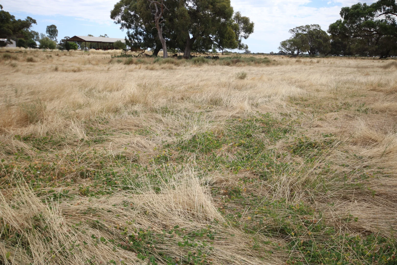 Additional image 7 of 142 Walkers Lane, Barham NSW 2732