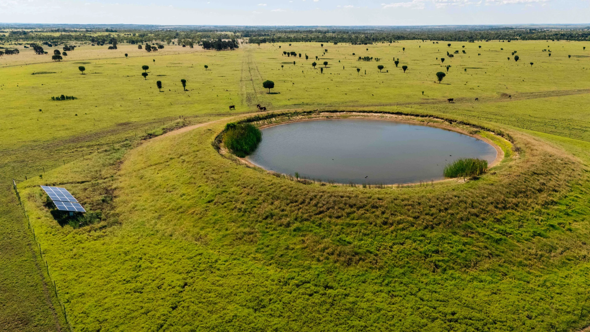 Additional image 5 of Waikola QLD 4420