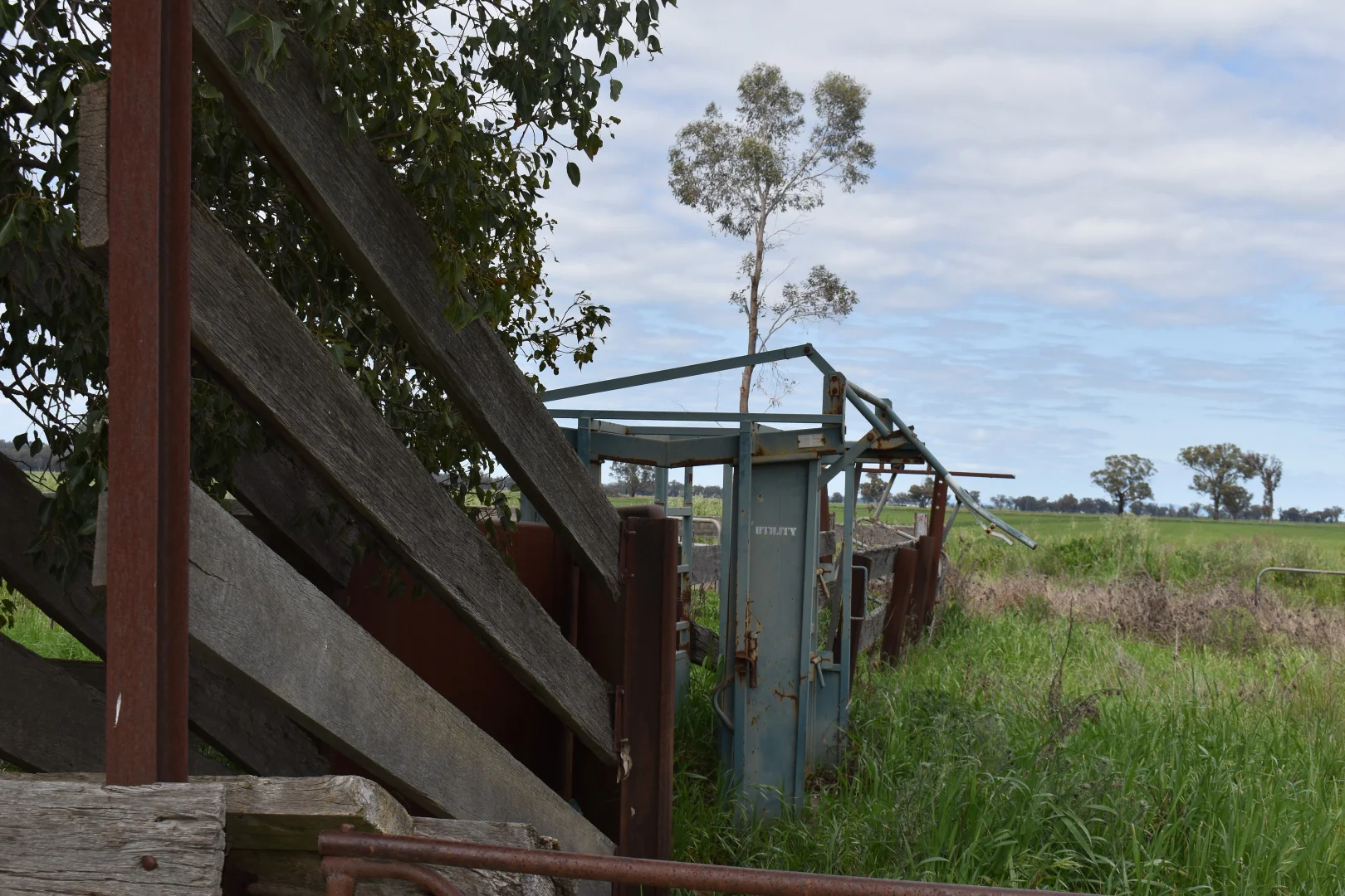 Additional image 18 of "Allandale" 7861 Lachlan Valley Way, Forbes NSW 2871