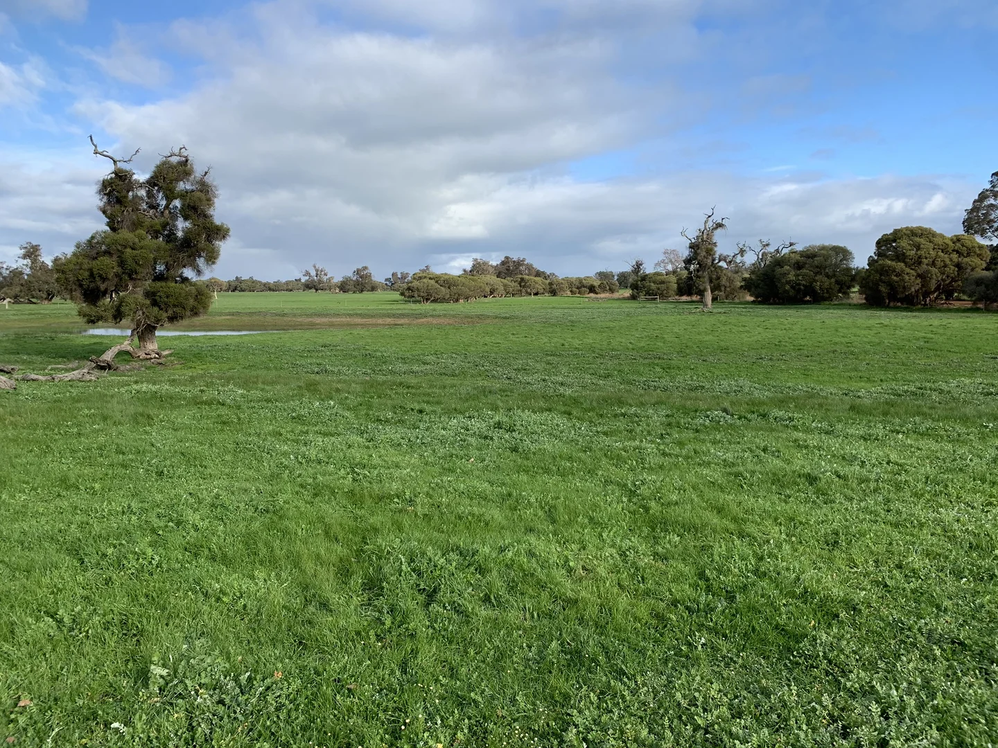 Additional image 6 of Lot 1 Jilley Road, Boyanup WA 6237