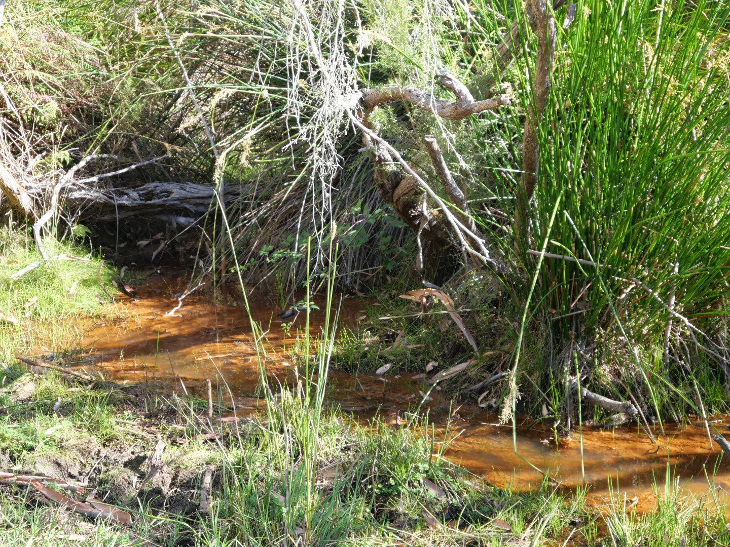 Additional image 4 of 61 Hayes Road, East Nannup WA 6275