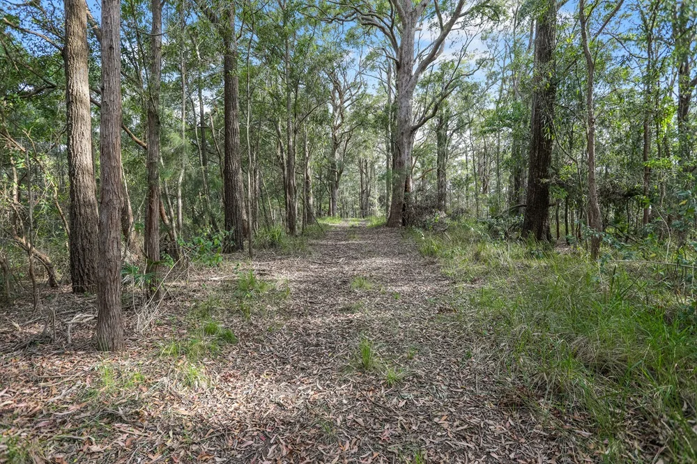 Additional image 22 of 193 Peach Orchard Road, Fountaindale NSW 2258