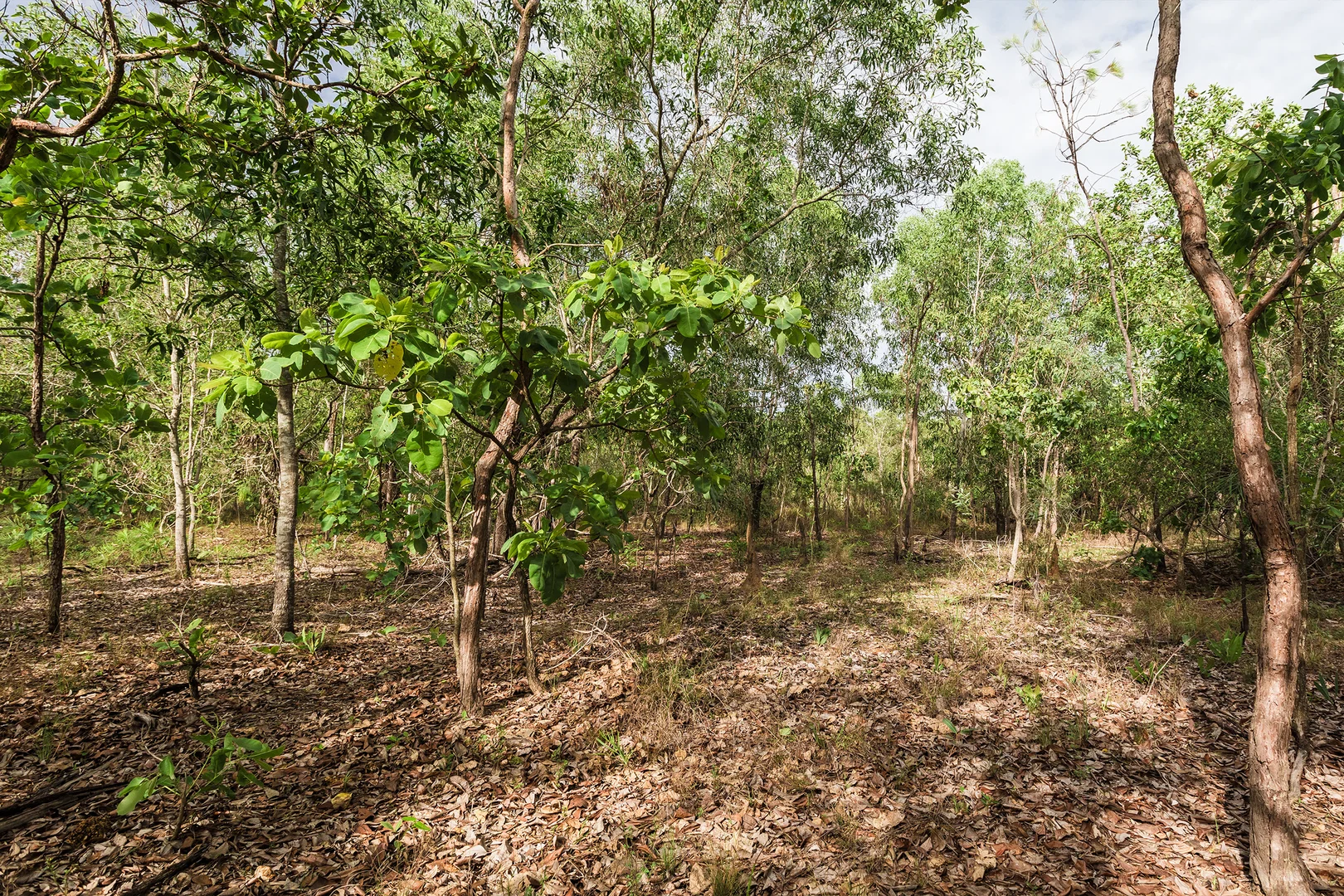 Additional image 15 of 56 Dowling Rd, Virginia NT 0834