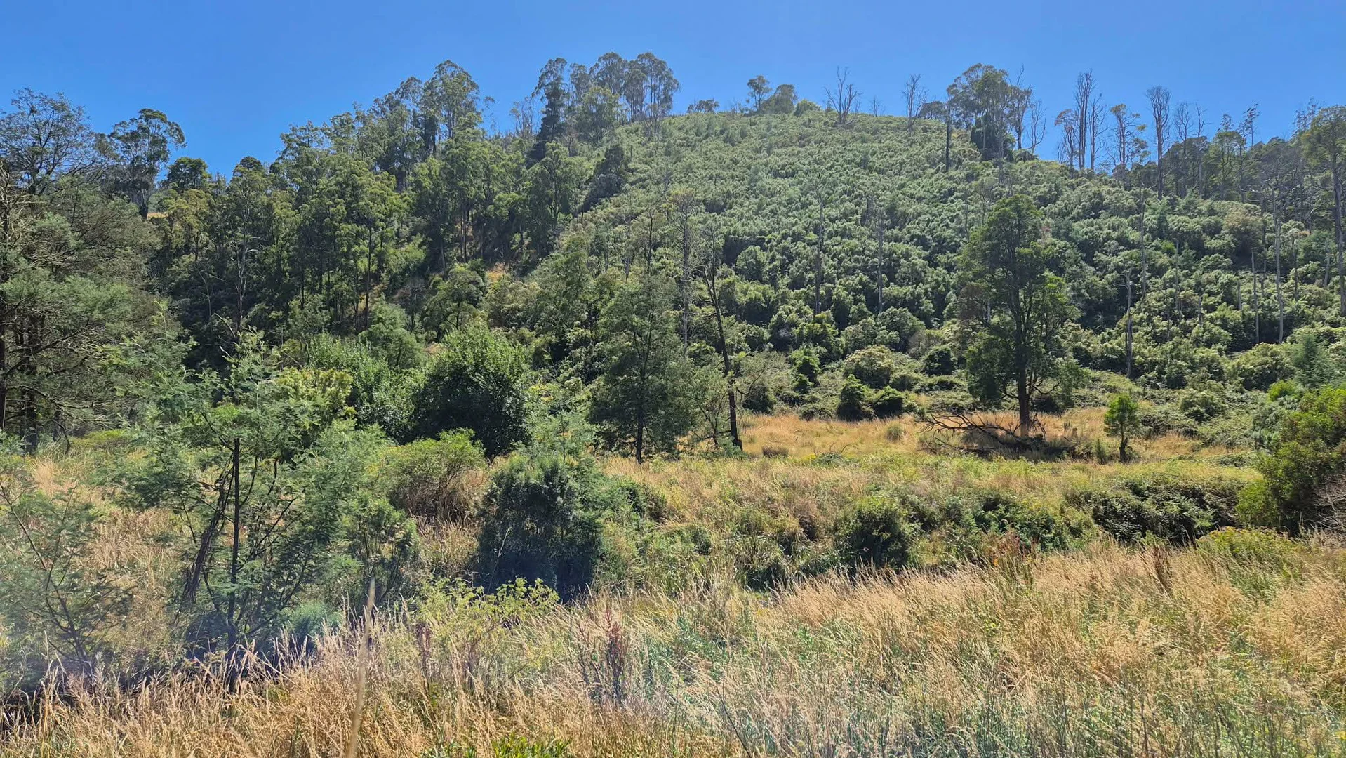 Additional image 3 of 1 Upper Middle Creek Road, Budgeree VIC 3870