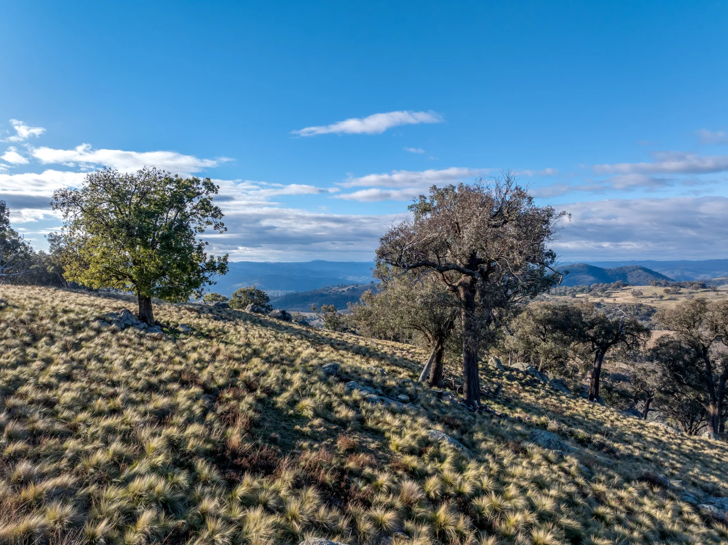 Additional image 11 of 498 (LOT A) Decca Road, Bigga NSW 2583