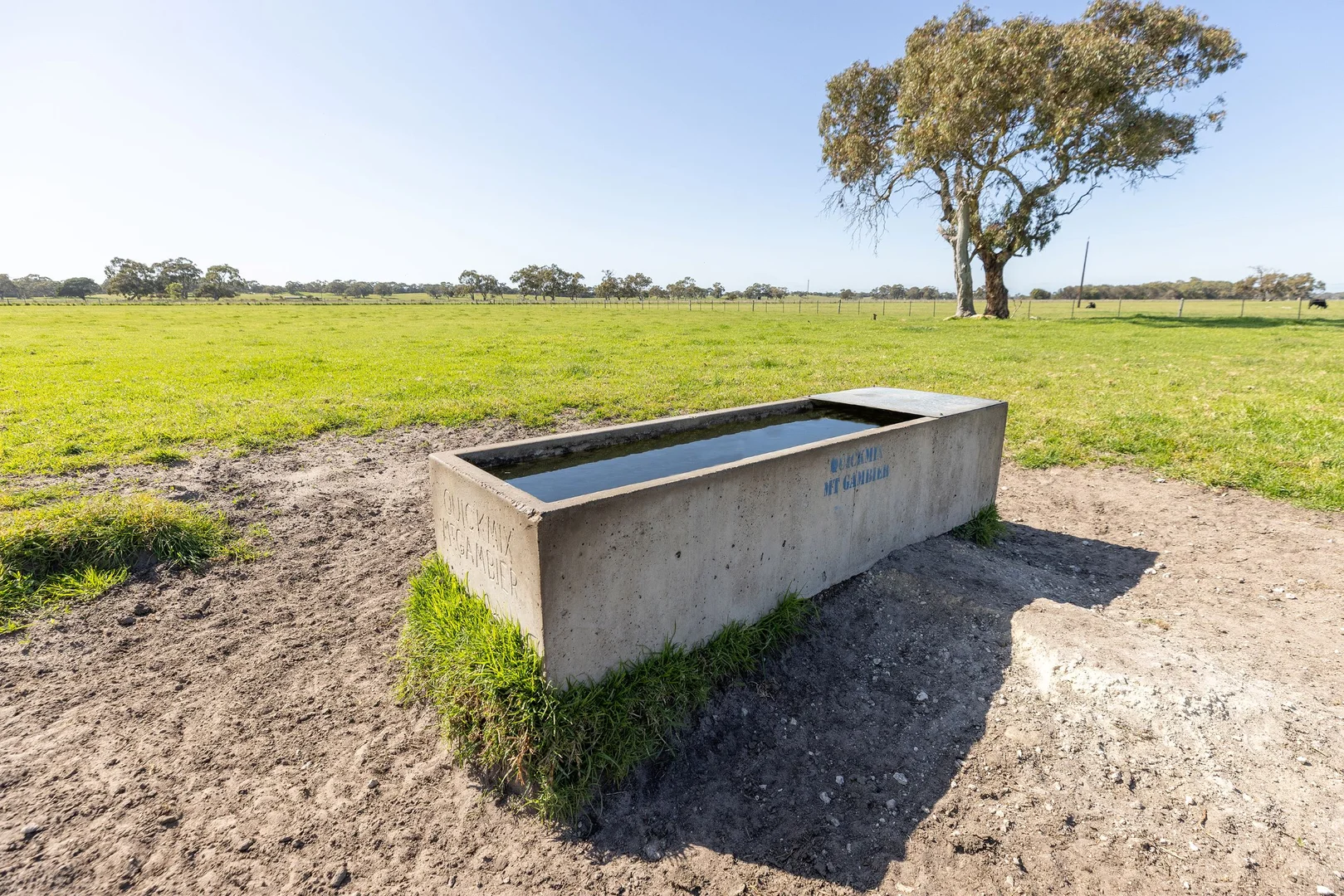 Additional image 19 of 294 Bowaka Road, Kingston Se SA 5275