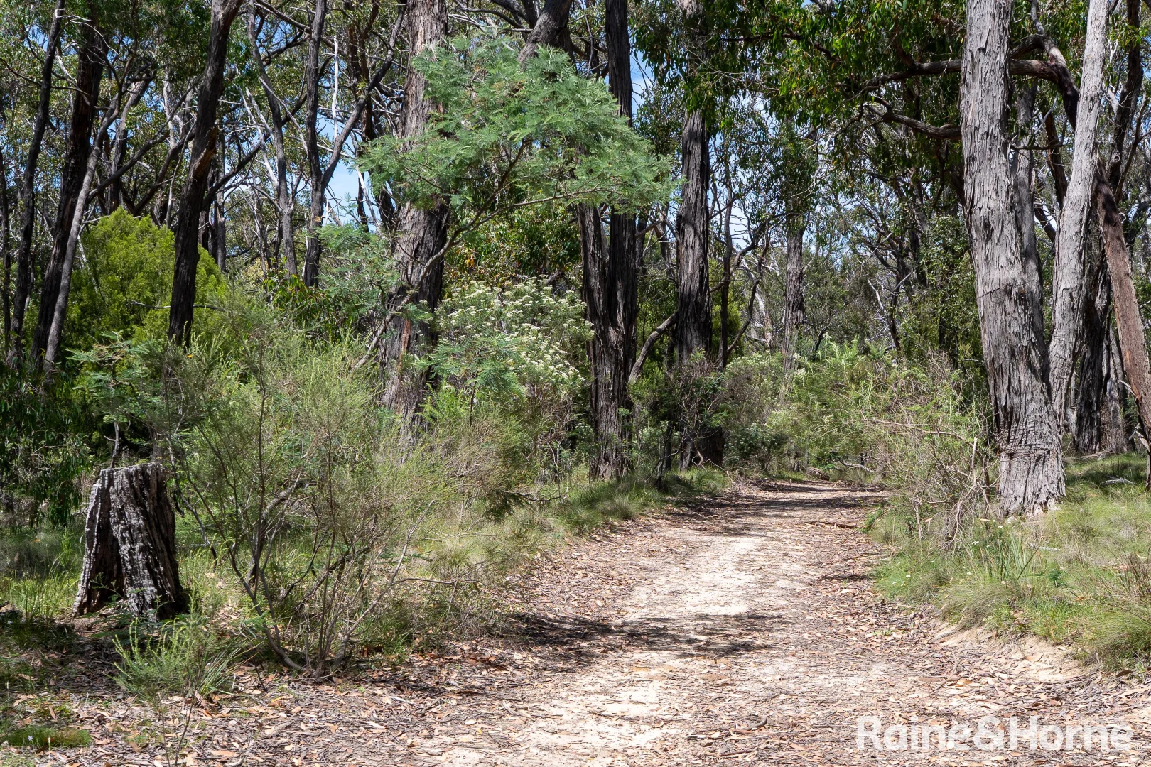 Additional image 6 of Lot 112 Prince Alfred Street, Riddells Creek VIC 3431