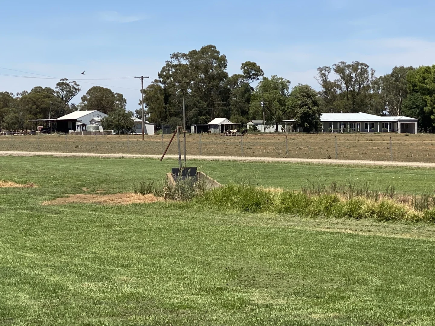 Additional image 47 of 229 Elliots Lane, Forbes NSW 2871