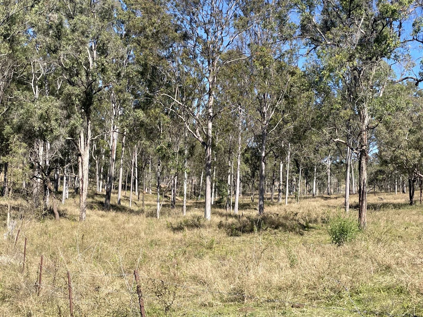 Additional image 3 of 186 Mungungo Creek Road, Monto QLD 4630