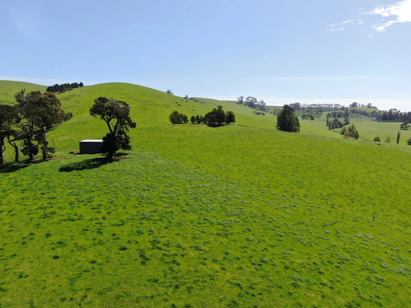 Additional image 31 of 365 Limonite Road, Boolarra South VIC 3870