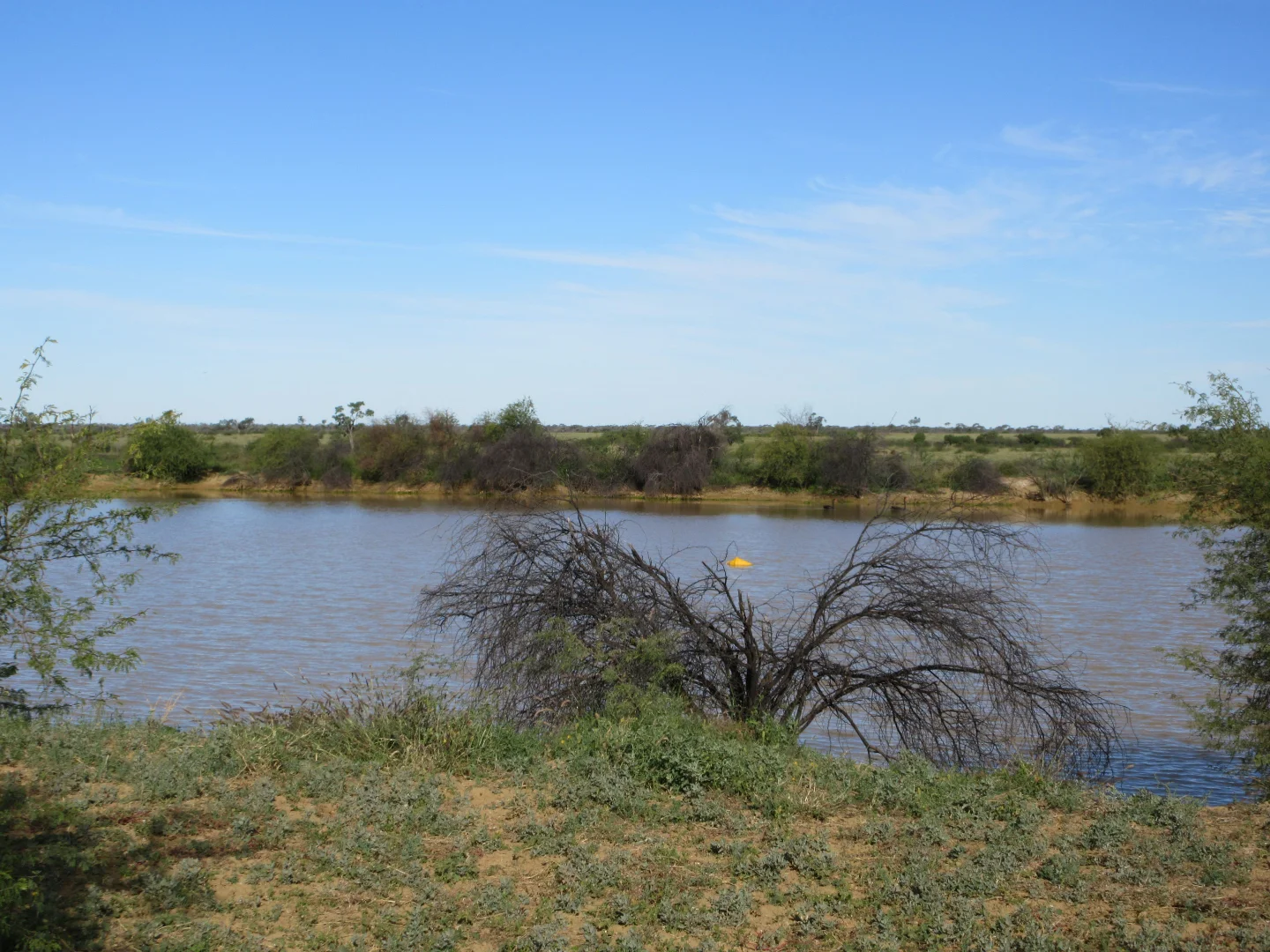 Additional image 13 of 715 Royston Lane, Longreach QLD 4730