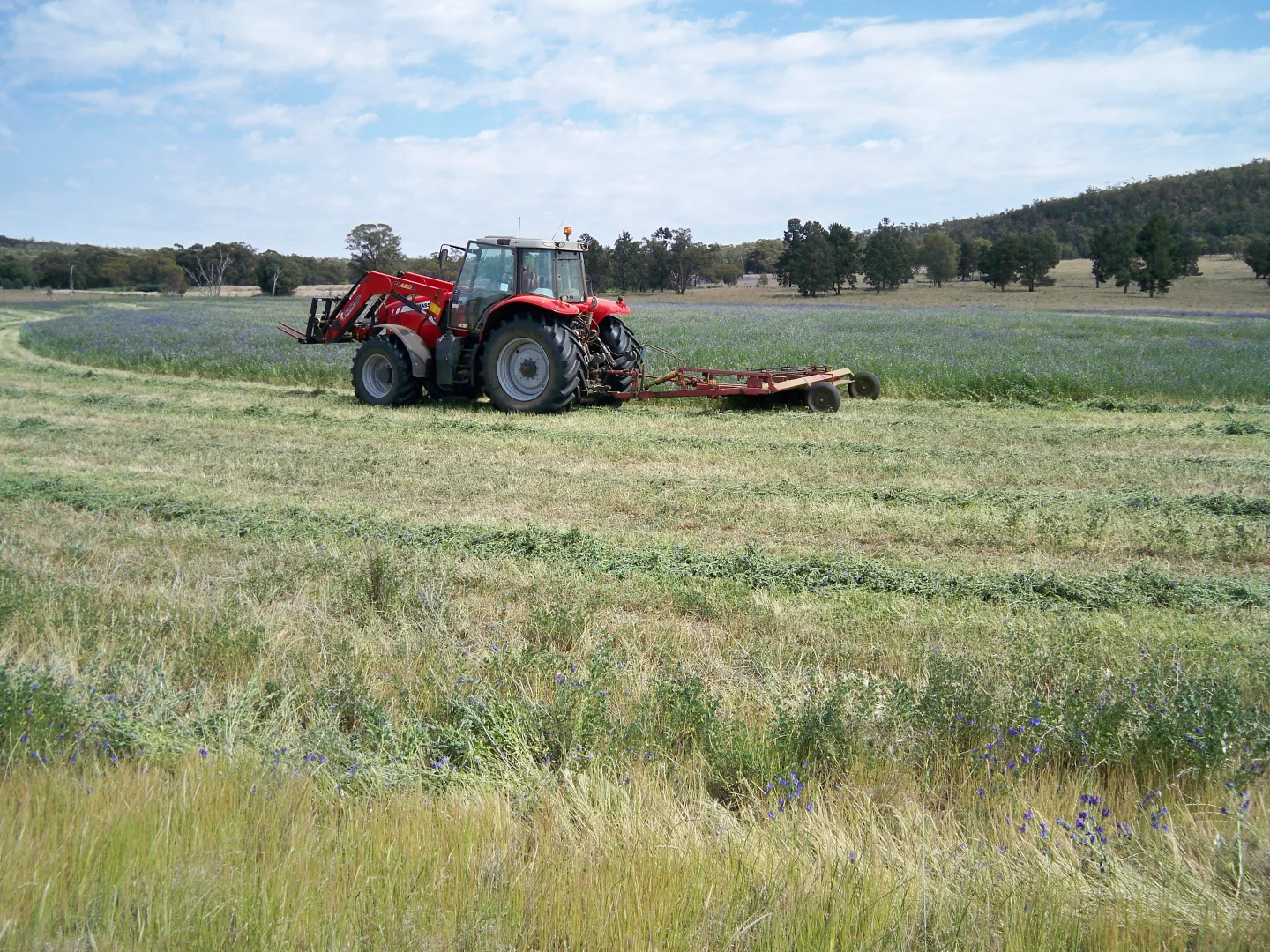 Additional image 10 of 431 The Springs Road, Rankins Springs NSW 2669