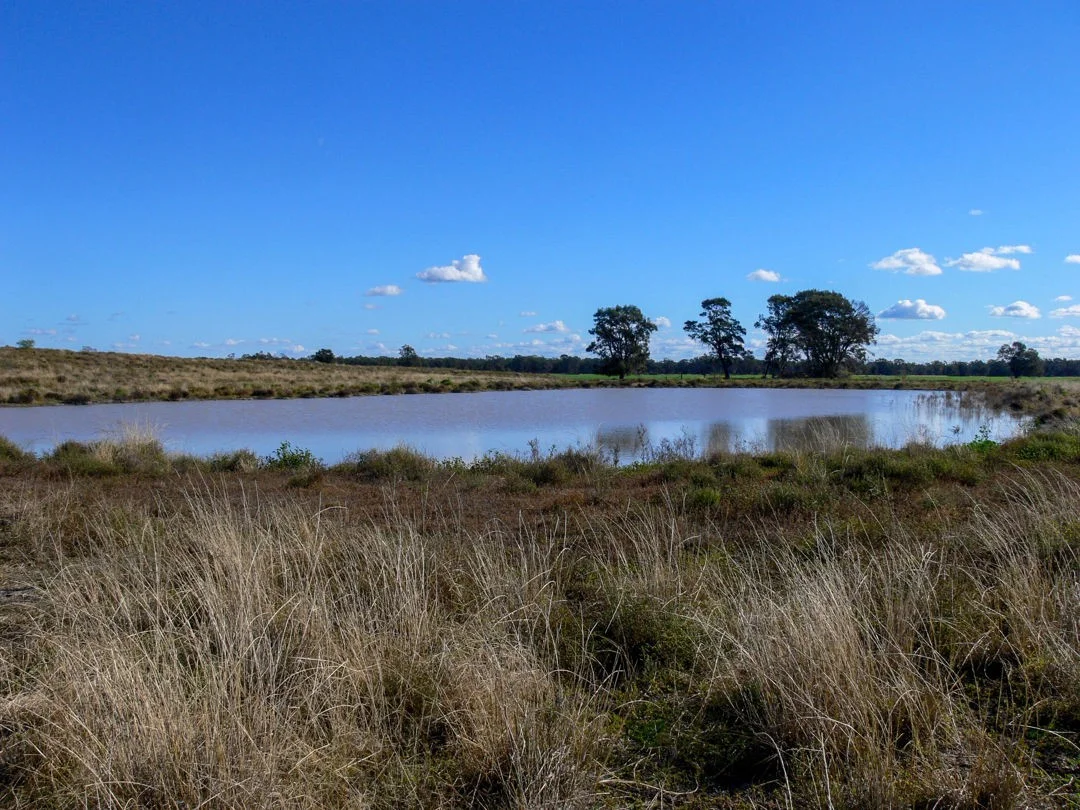 Additional image 14 of "FOREST VALE", Gurley NSW 2398