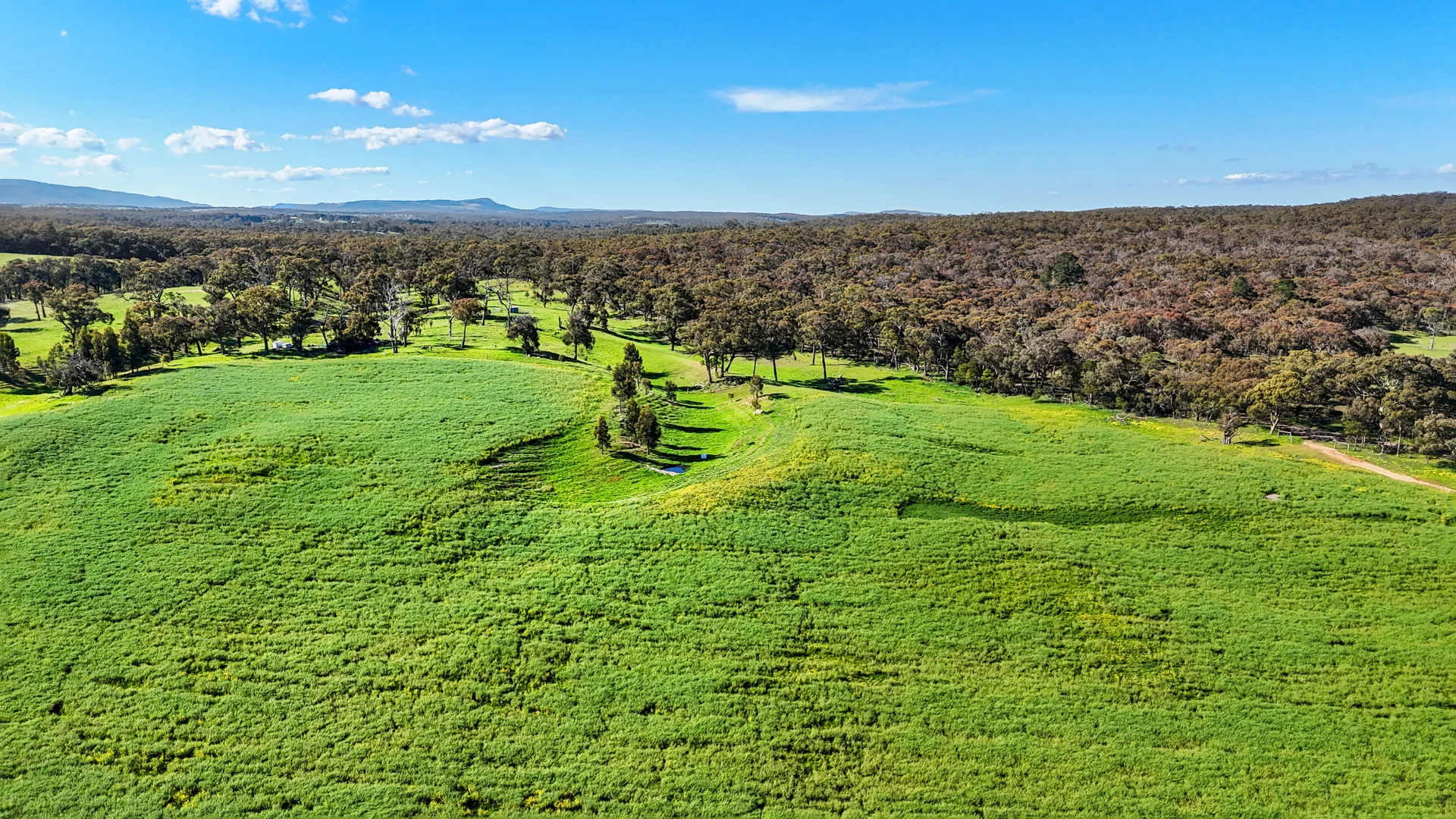 Additional image 8 of 60 Ellis Road, Beaufort VIC 3373